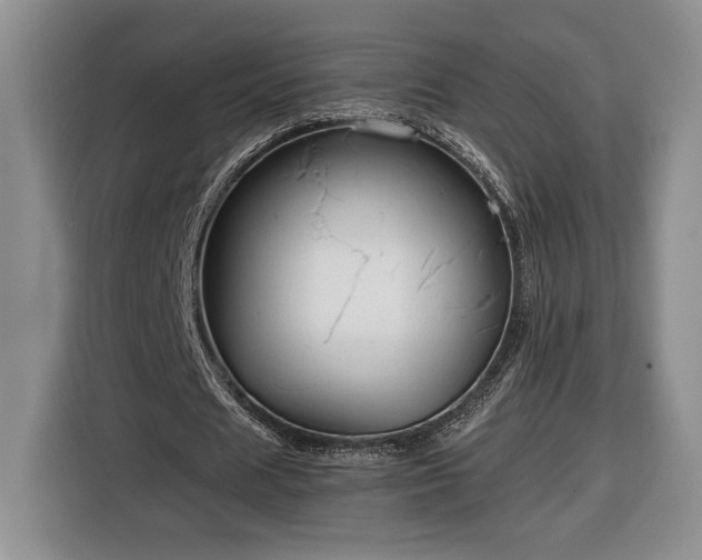 X0000116370625200912091238