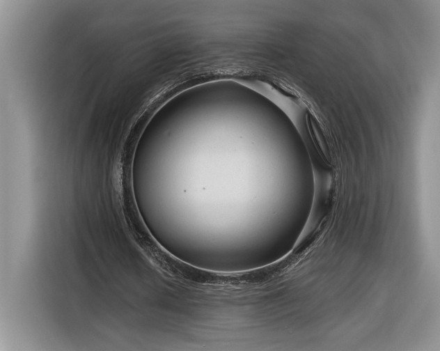 X0000116370626200912091238