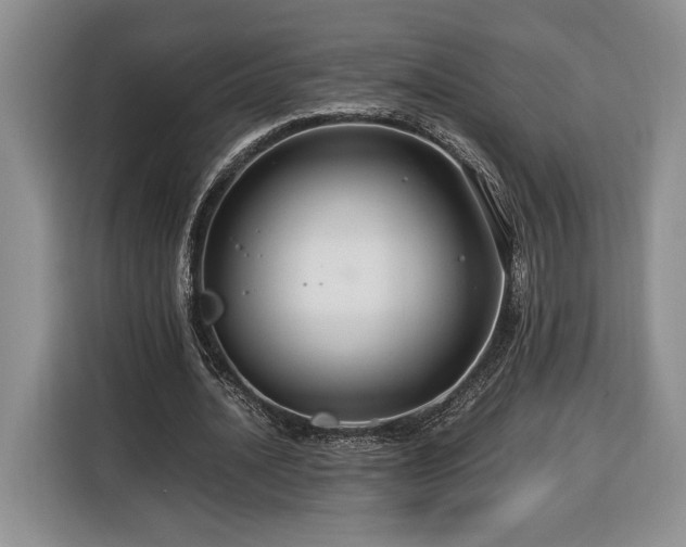 X0000116370628200912091238