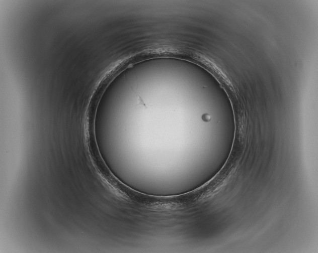 X0000116370629200912091238