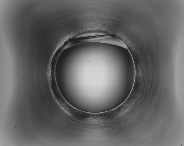 X0000116370630200912091238