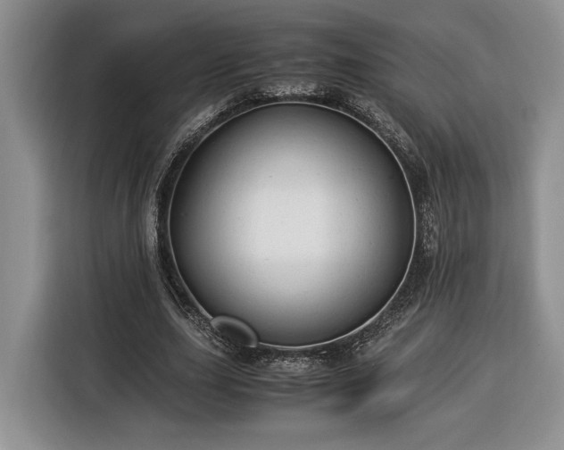 X0000116370631200912091238