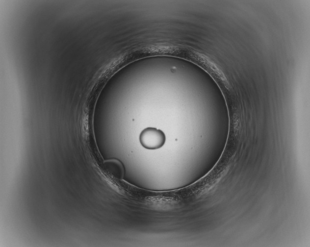 X0000116370633200912091238