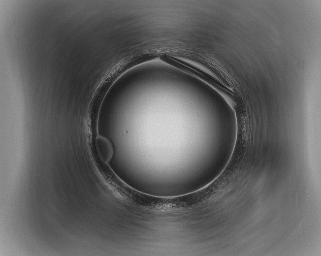 X0000116370634200912091238