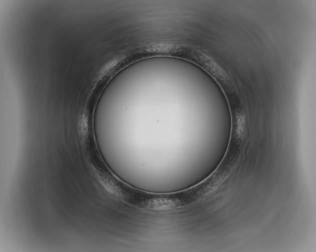 X0000116370636200912091238