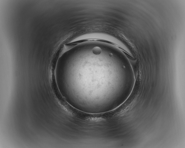 X0000116370637200912091238