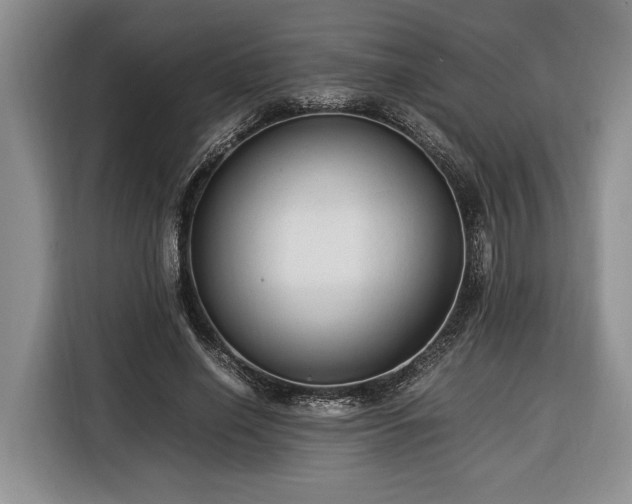 X0000116370638200912091238