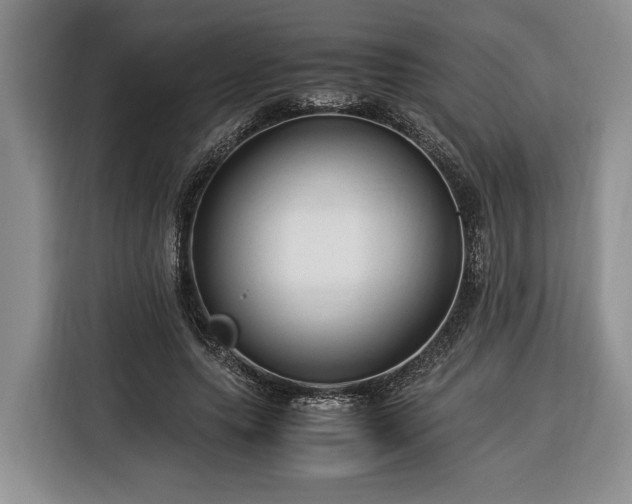 X0000116370639200912091238