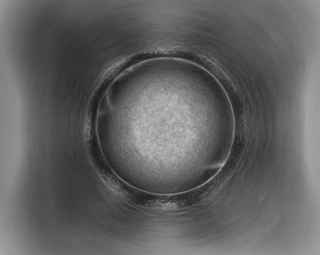 X0000116370640200912091238