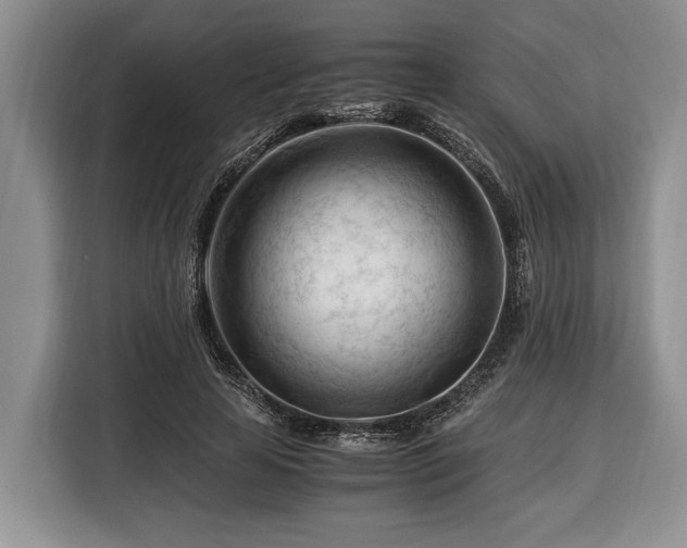 X0000116370641200912091238