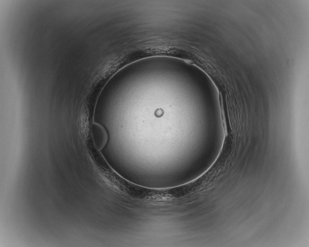 X0000116370642200912091238