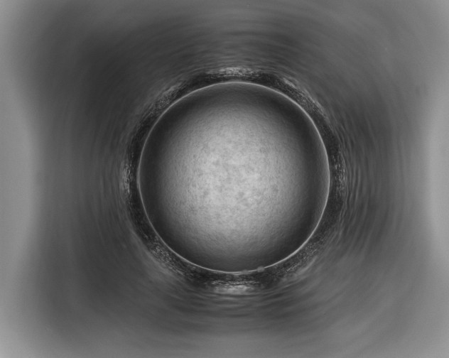 X0000116370643200912091238