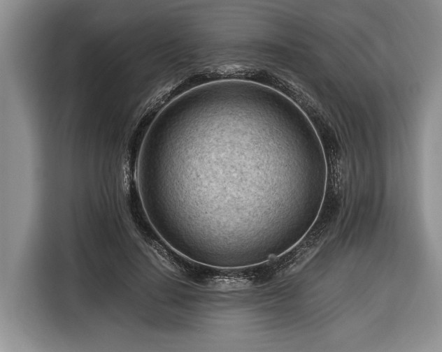 X0000116370644200912091238