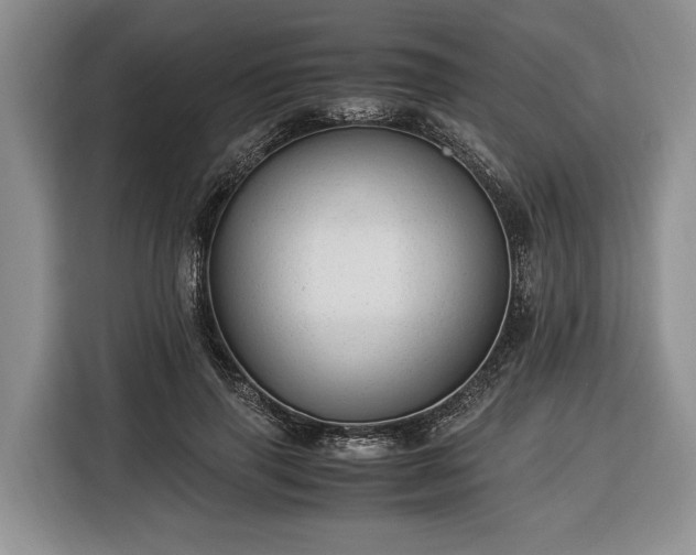 X0000116370645200912091238