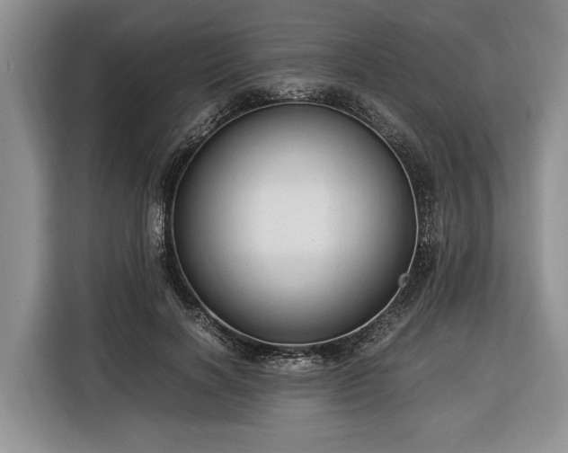 X0000116370646200912091238