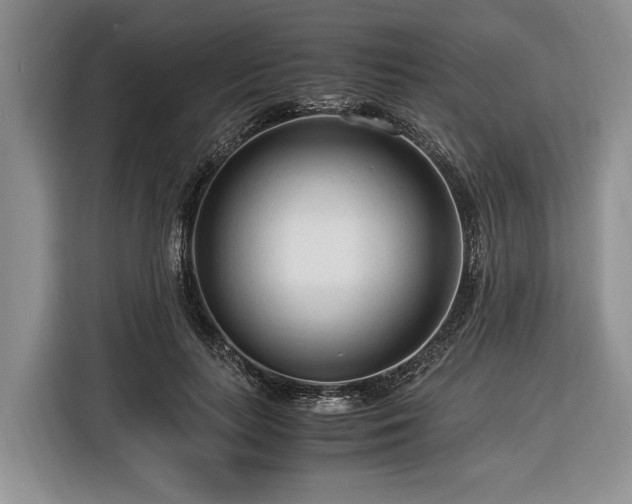 X0000116370647200912091238