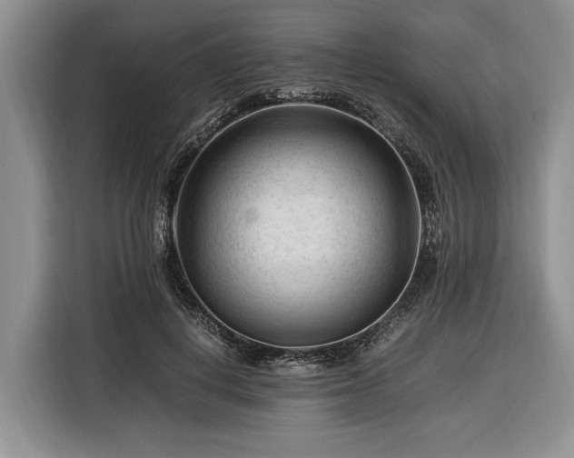 X0000116370648200912091238