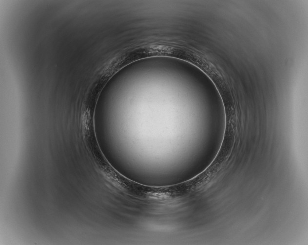 X0000116370649200912091238