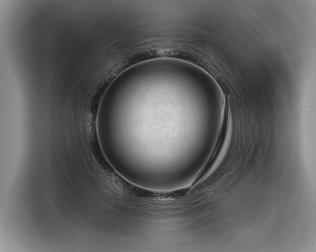 X0000116370650200912091238