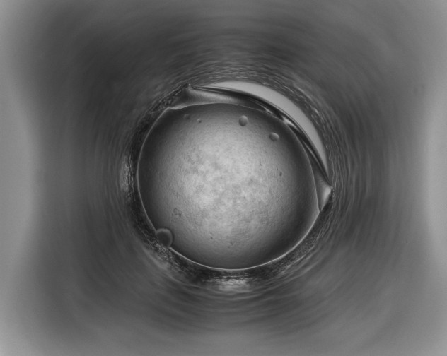 X0000116370651200912091238