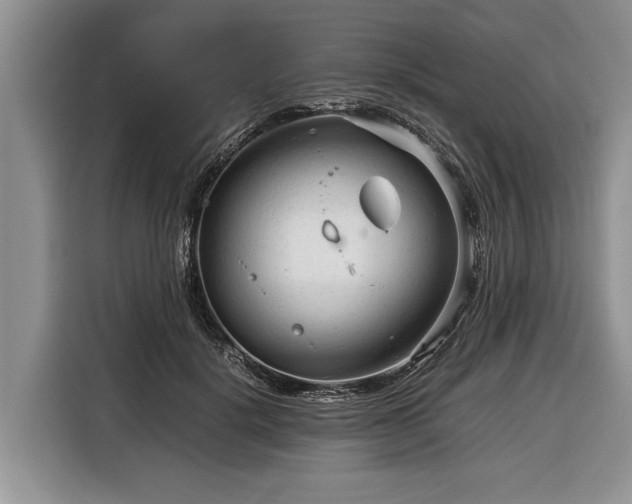 X0000116370652200912091238