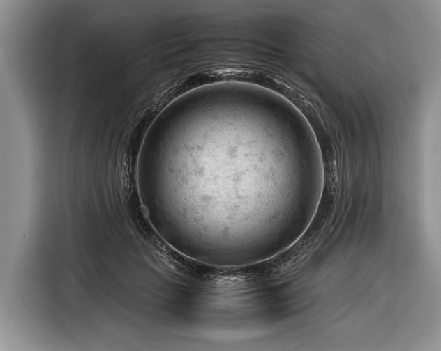 X0000116370653200912091238