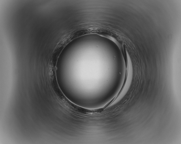 X0000116370654200912091238