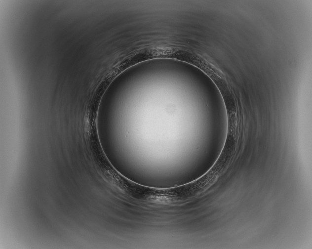 X0000116370655200912091238