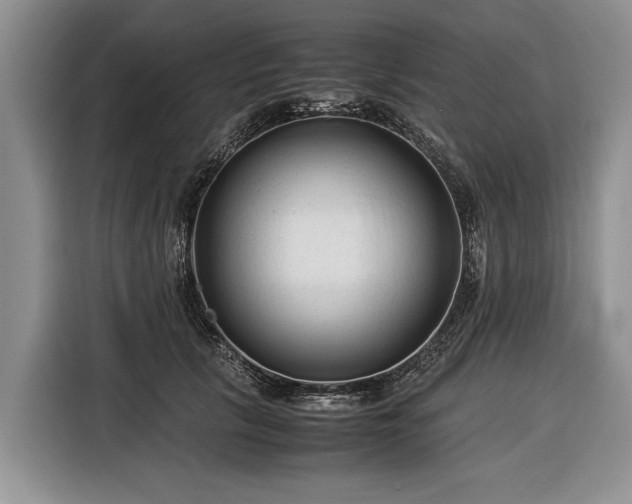 X0000116370657200912091238