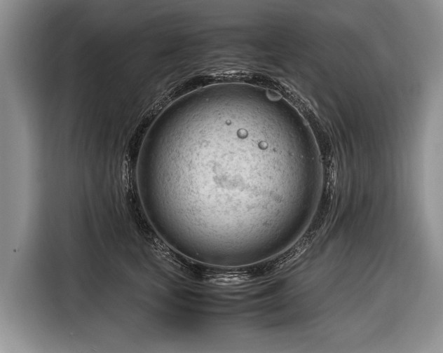 X0000116370659200912091239