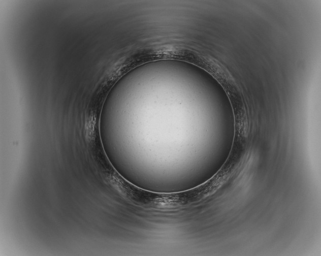 X0000116370660200912091239