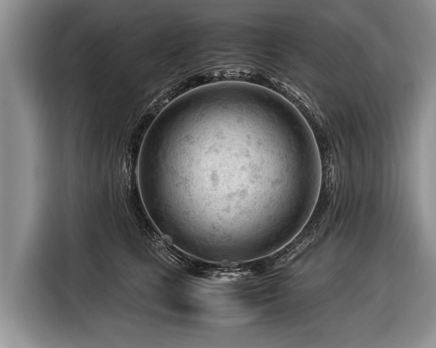 X0000116370661200912091239