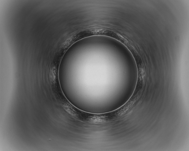 X0000116370664200912091239