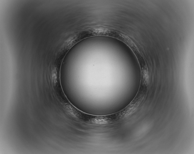 X0000116370668200912091239