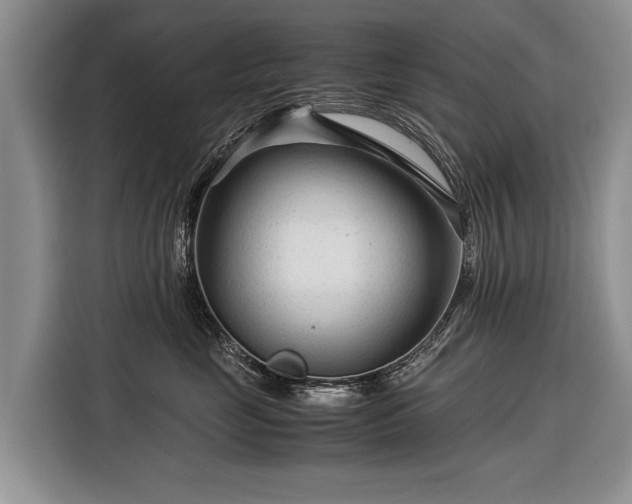 X0000116370669200912091239