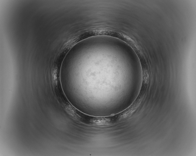 X0000116370670200912091239