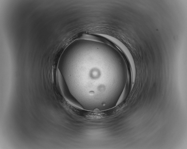 X0000116370671200912091239