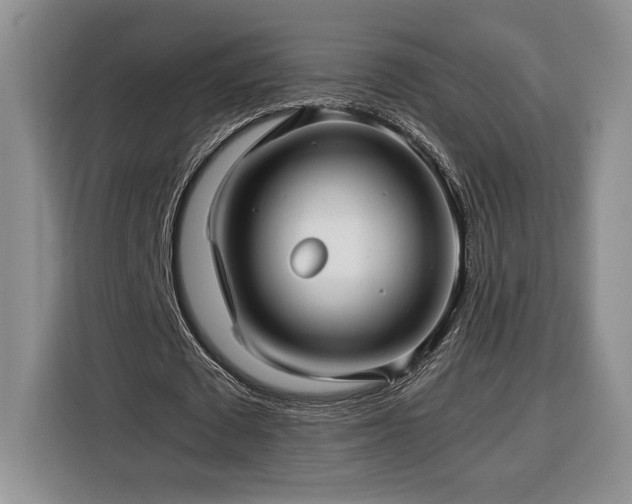 X0000116370673200912091238