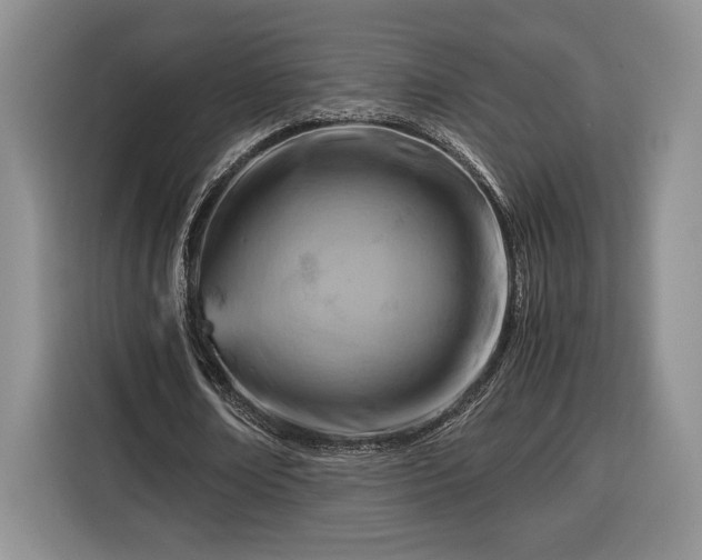 X0000116370674200912091238