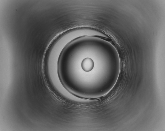 X0000116370676200912091238