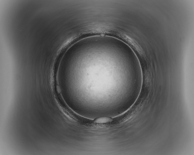 X0000116370677200912091238