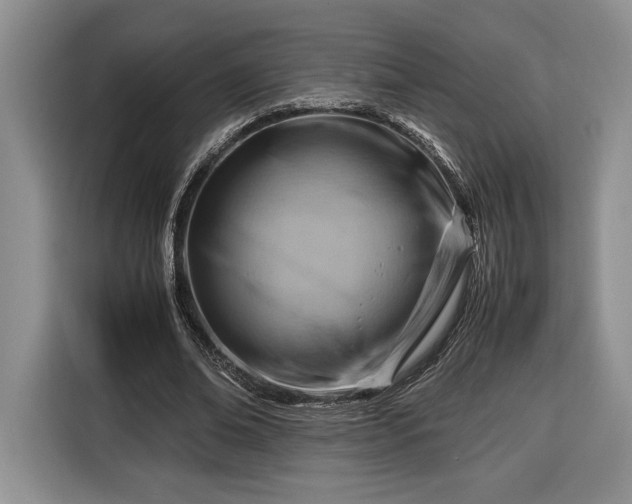 X0000116370678200912091238