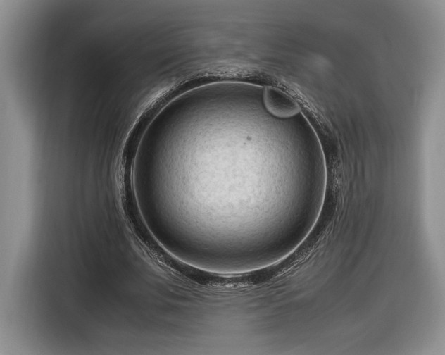 X0000116370679200912091238