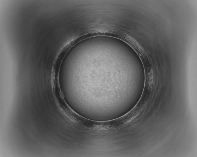 X0000116370680200912091238