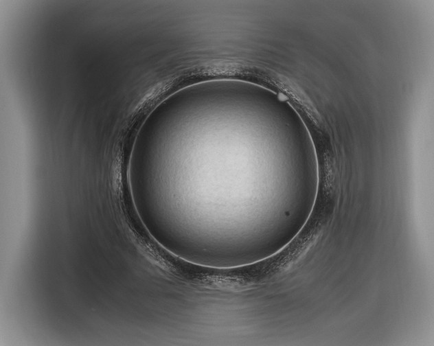 X0000116370681200912091238