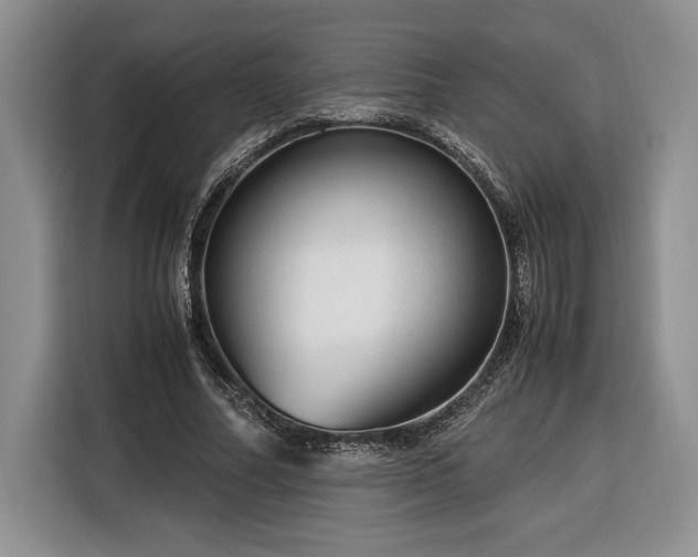 X0000116370682200912091238