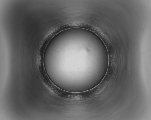 X0000116370683200912091238