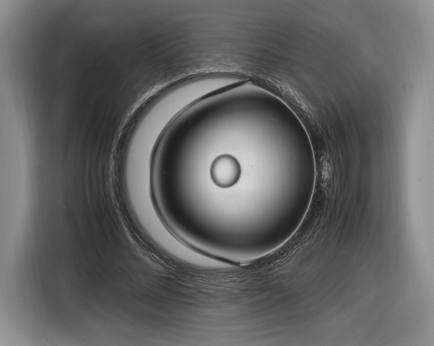 X0000116370684200912091238