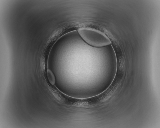 X0000116370685200912091238