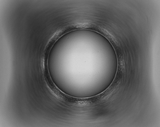 X0000116370686200912091238